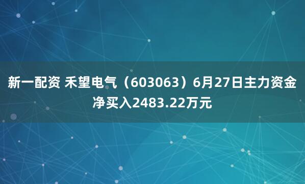 新一配资 禾望电气（603063）6月27日主力资金净买入2483.22万元